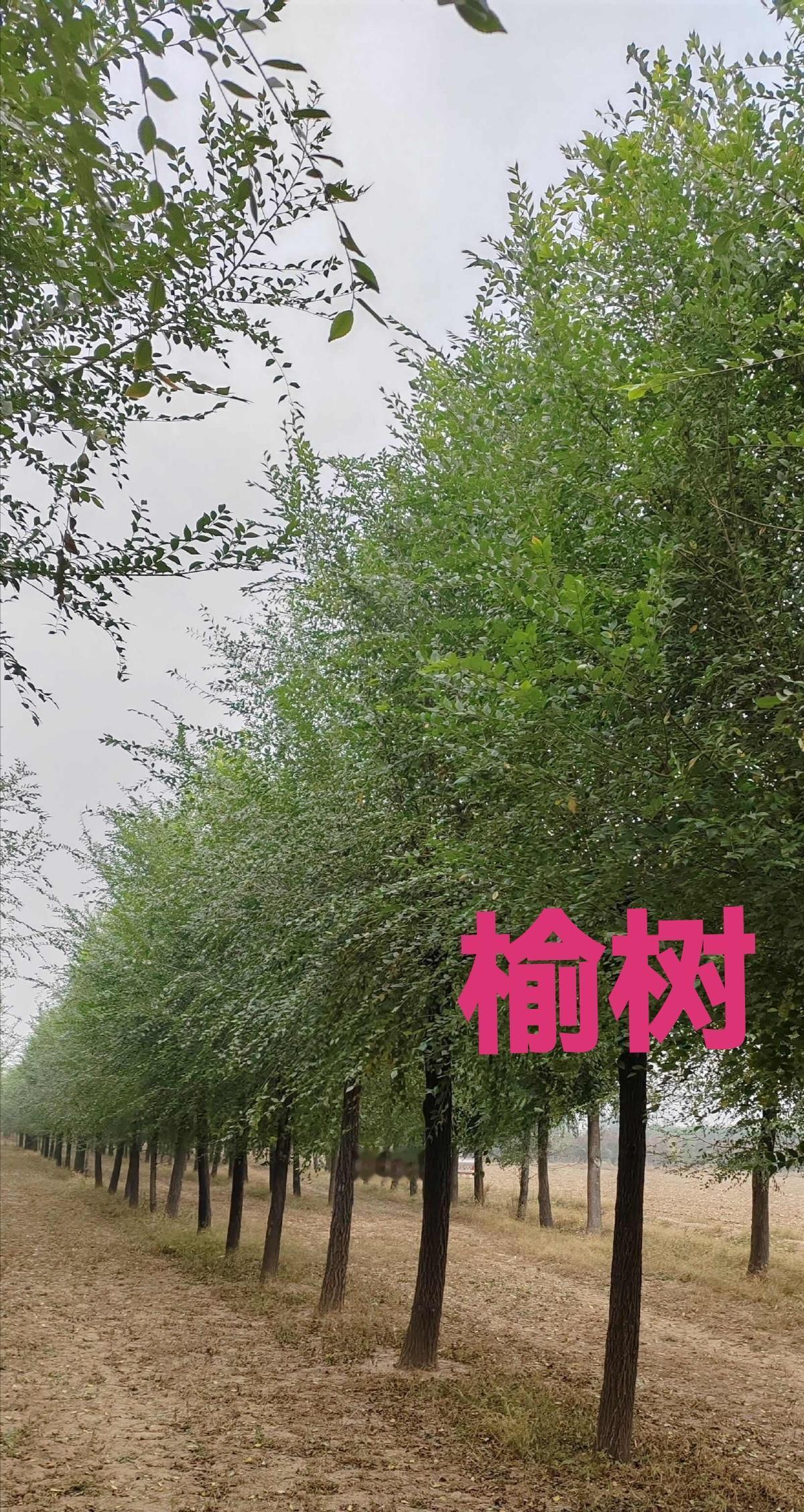 第一： 地缘政治利益：
中东地处欧亚非枢纽，控制霍尔木兹海峡、苏伊士运河等战略要