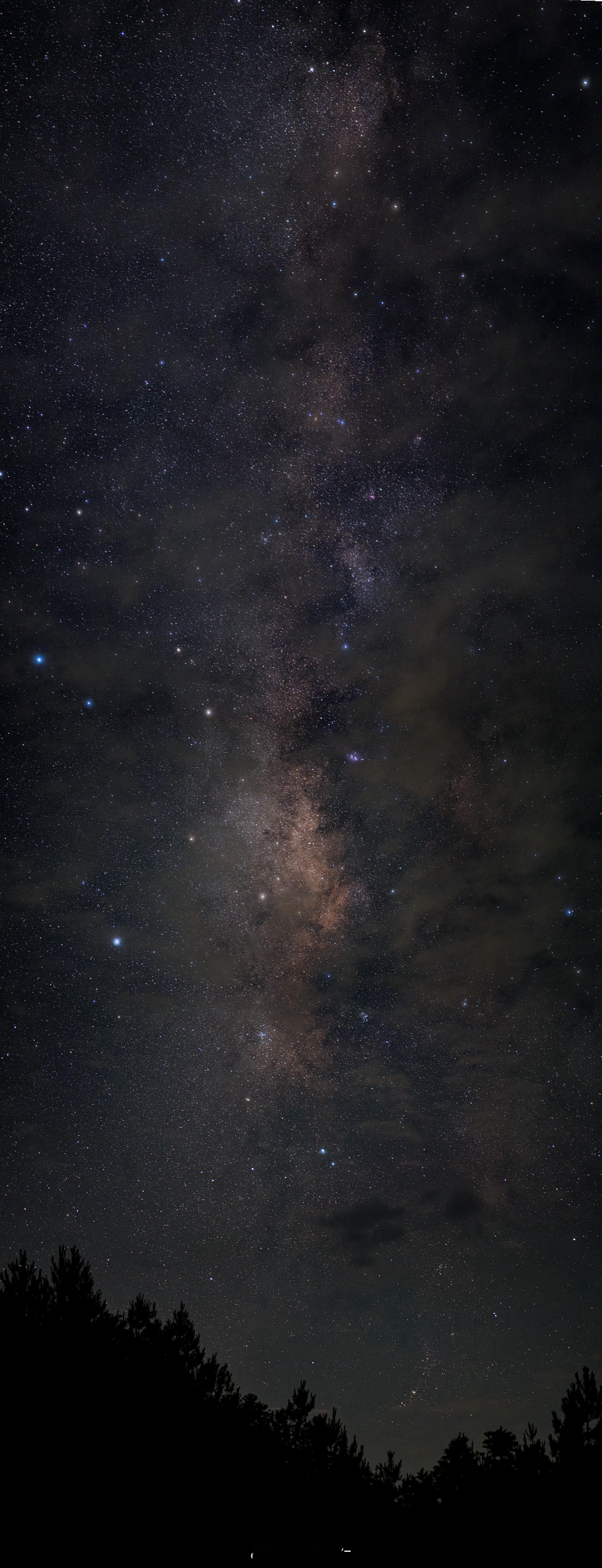 许愿三公子羊姨姨左左的背篓缺三公子和朋友观星，拍到了流星许愿心心念念的三公子 想