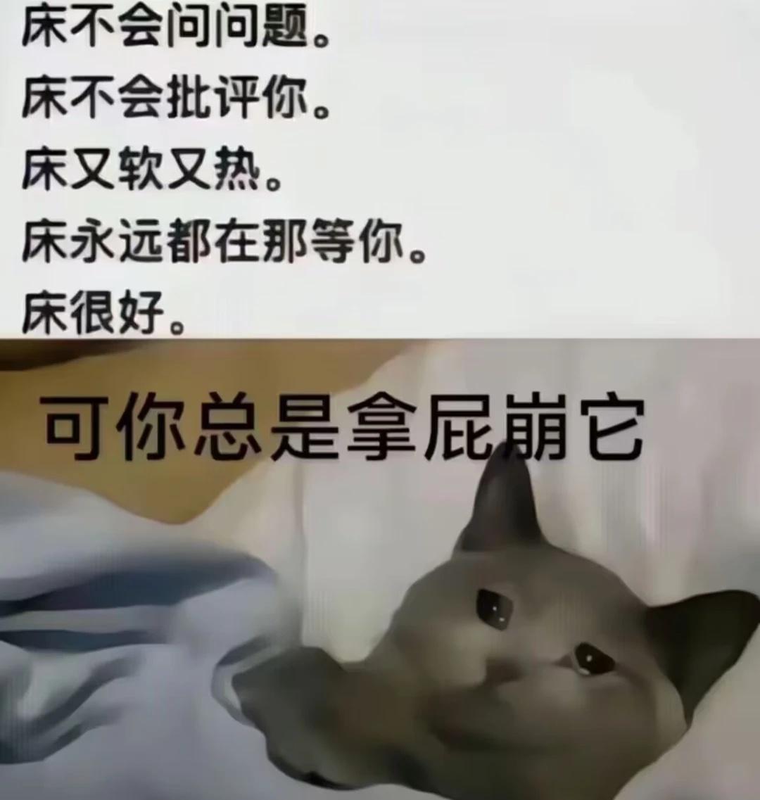 床我们结婚好不好
meme 梗图 我感觉我被床给粘住了 床就是人类的无线充电器 