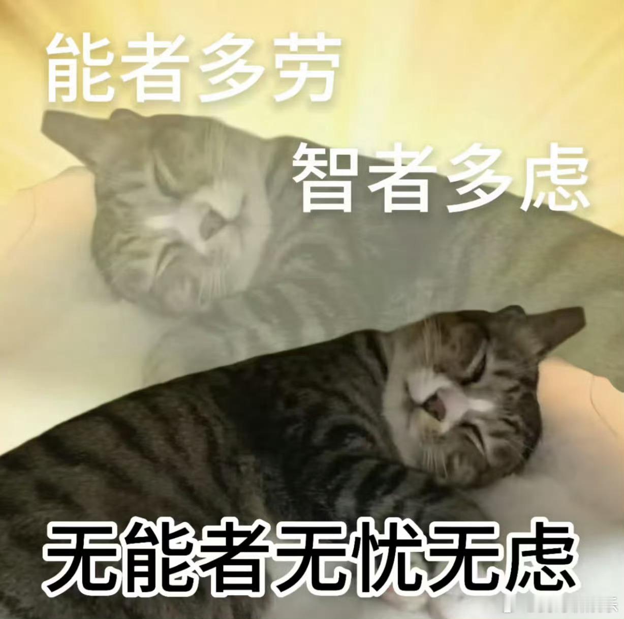 年轻人的觉醒从不吃苦开始年轻人正在拿回时间支配权 不卷无意义的加班，不熬伤害身体