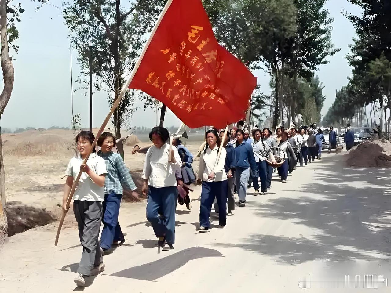 中国50后这一代人，就是1950年到1959年出生的人。

一、50后有多少人？
