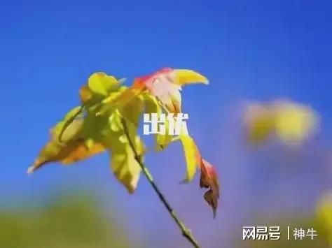 出伏后，提醒中老年：1衣不穿，2物不吃，3事不做，安稳过秋天

出伏之后暑气慢慢
