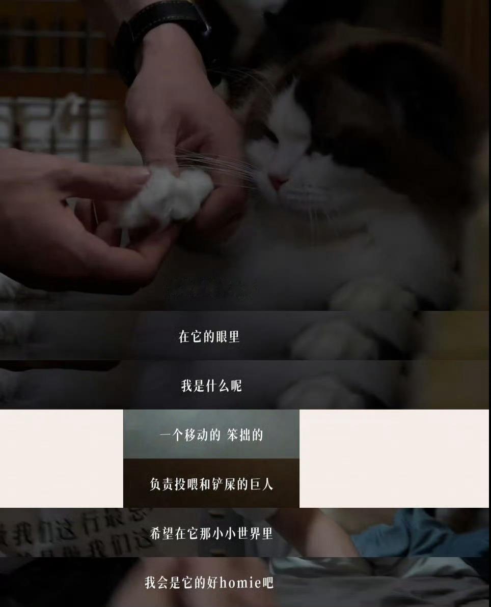 又想到他写 厚米眼里的他是一个移动笨拙的巨人，即便如此在彼此的世界里对方还是很宝