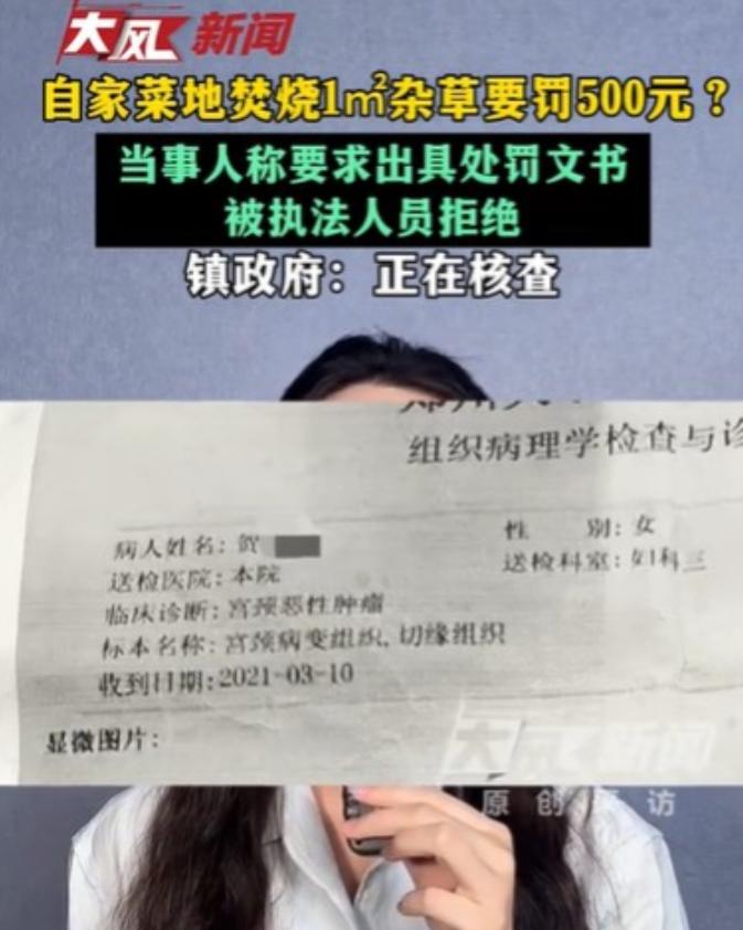 河南固始，女子在清理菜地杂草时，她把 1 平方米的杂草烧了，给菜地里做化肥。结果