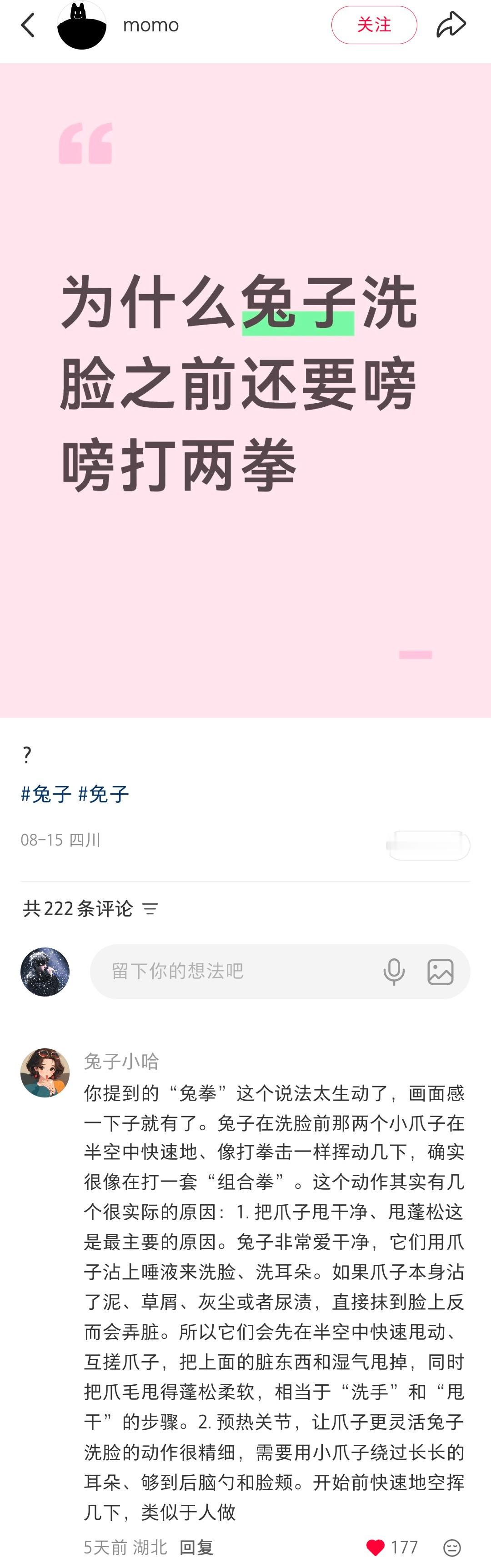 艾特乐滋滋：尊嘟假嘟？ 