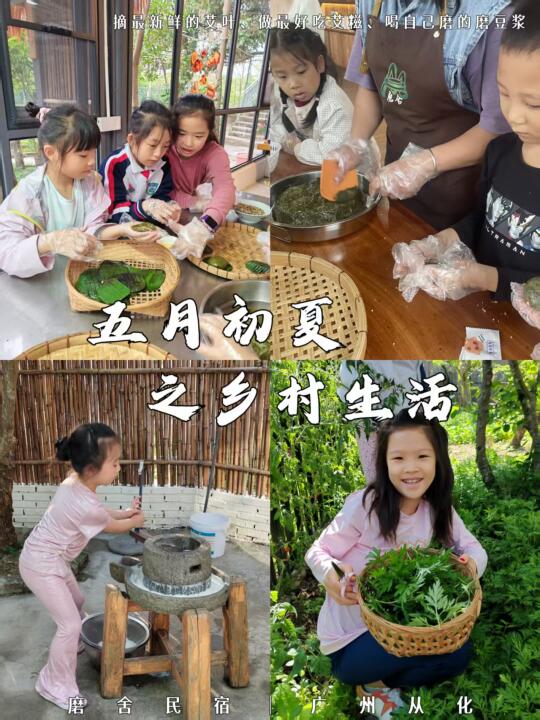 五月初夏的乡村生活，摘艾草做艾糍，磨豆浆