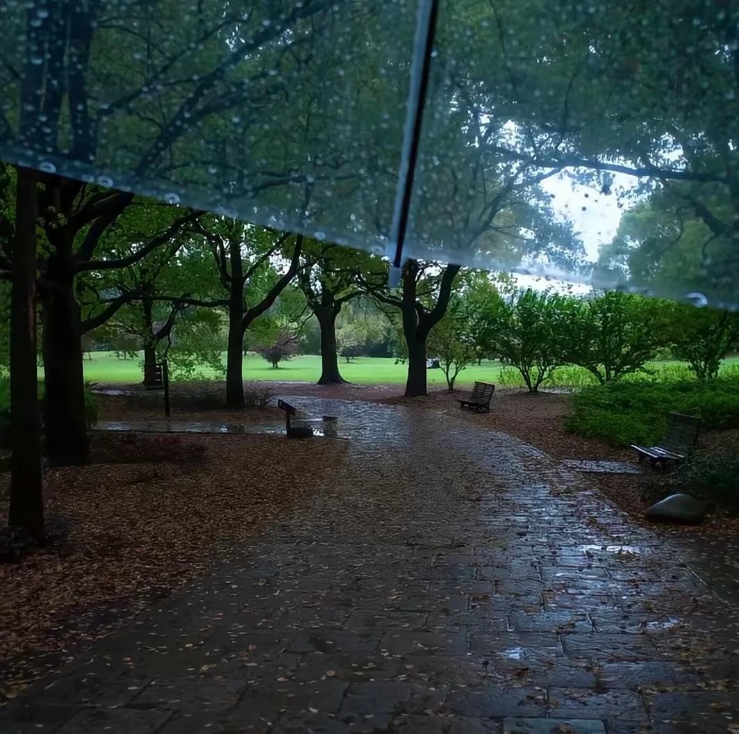 崔/志/宇＆包/上/恩消失的下雨天 ​​​