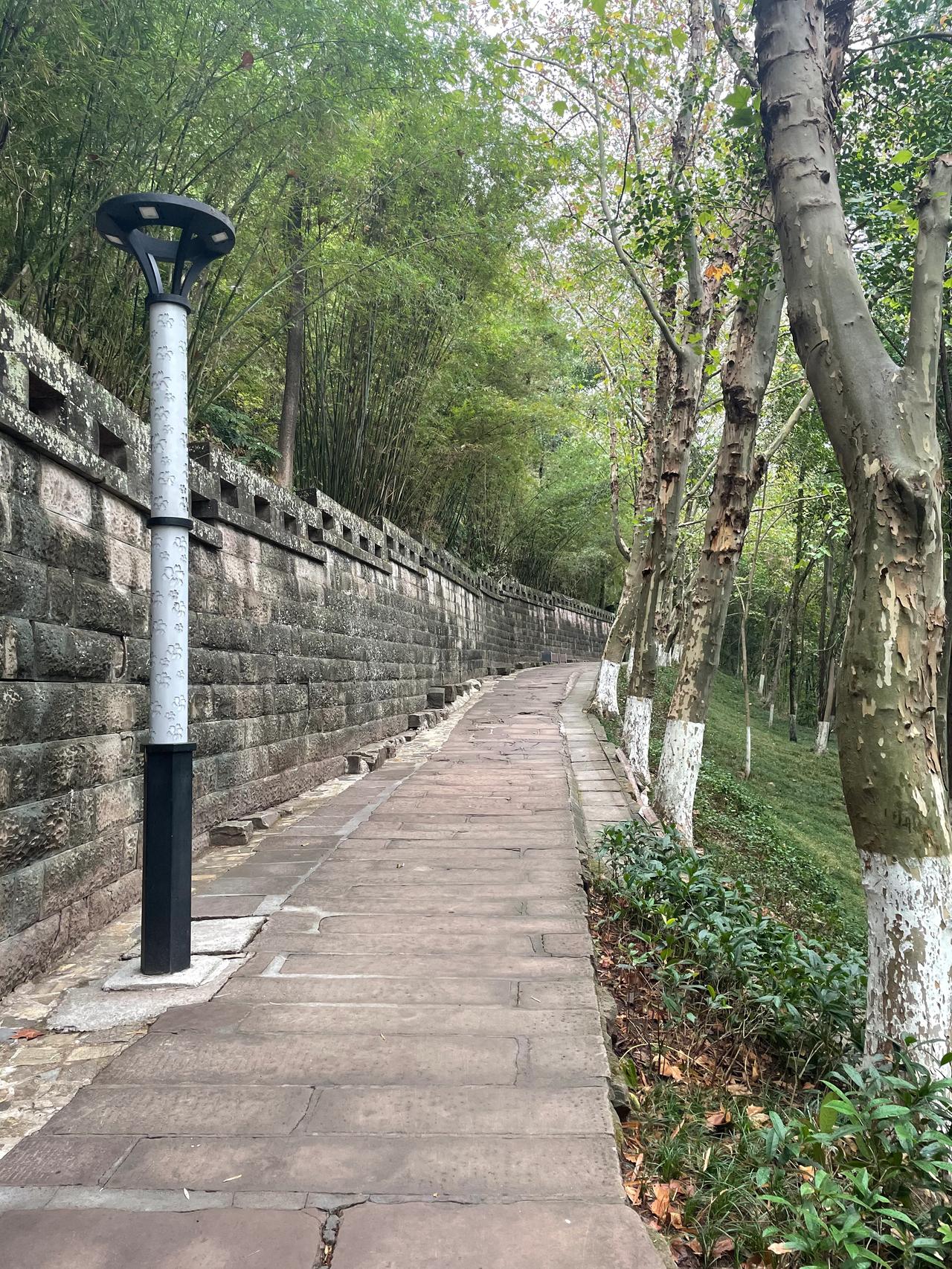 重走北山
        ——南木子
最早北山大公园，
青年时期常来玩。
今陪女