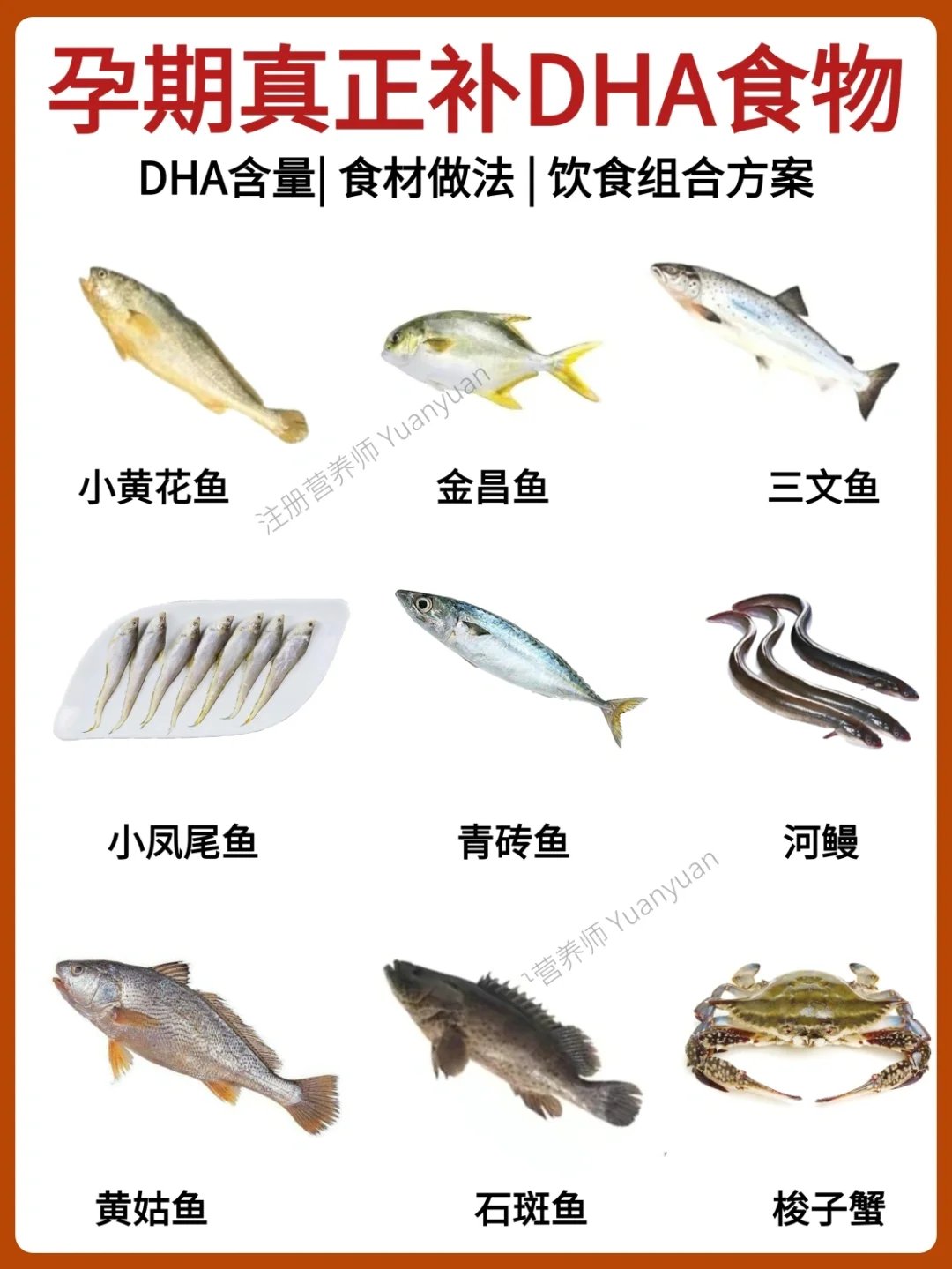 孕期选鱼攻略|孕妇到底怎么补充DHA？怎么选