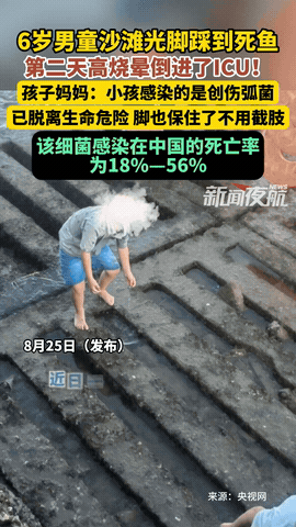 “悲剧还是发生了！”福建厦门，一6岁男孩在沙滩光脚玩耍后，突然出现了高烧和呕吐！