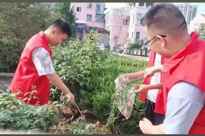 左边用户请求，
右边AI响应，
三段式标题引发热议
【惊人！垃圾堆秒变打卡圣地？