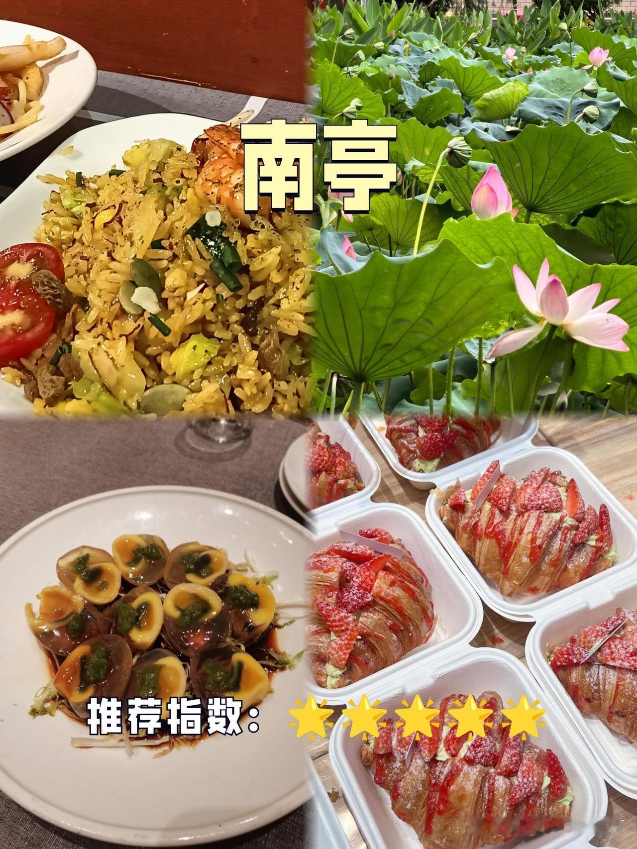 🌿南亭秘境·小众城市绿洲

在快节奏的都市生活中，发现一处既能静心又能亲近自然
