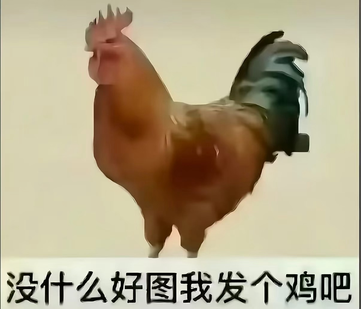 0005 ​​​