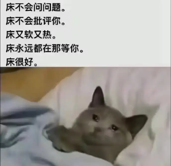 <img src=