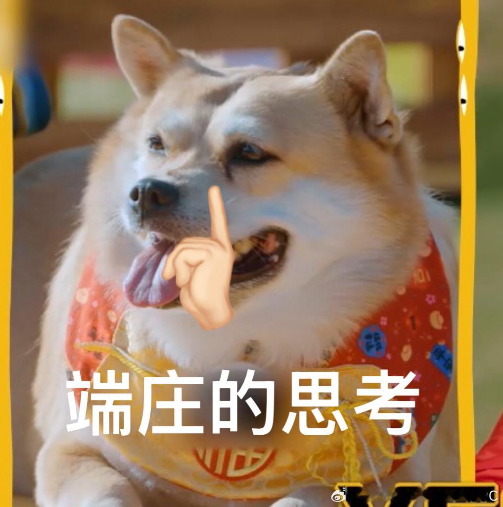 流水的马頔型不行人，铁打的鹿晗✨小狗定食训练全程爆笑陈乔恩主打一个拒绝到底鹿晗主