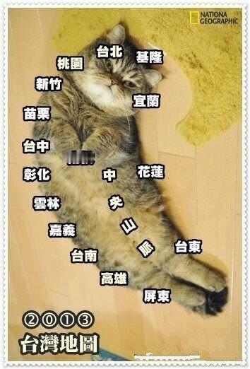 【创意台湾地图】喵星人版的台湾地图，很清晰明了哦。 