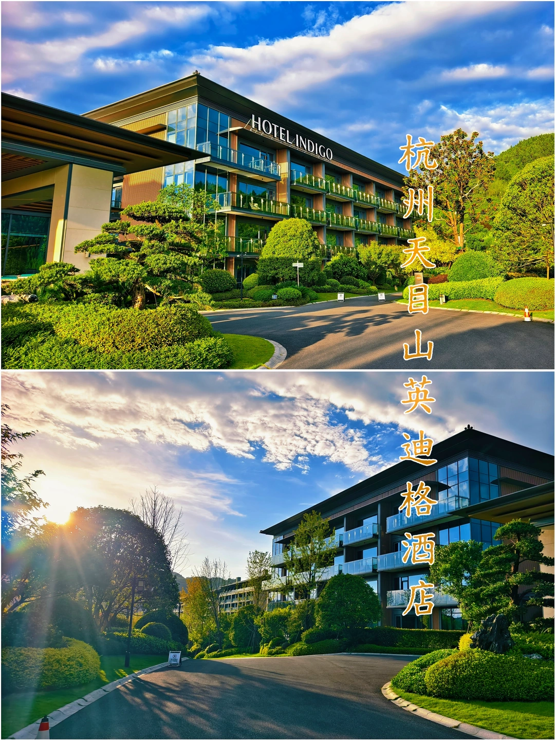 天目山英迪格酒店| 山景入屋，自在度假