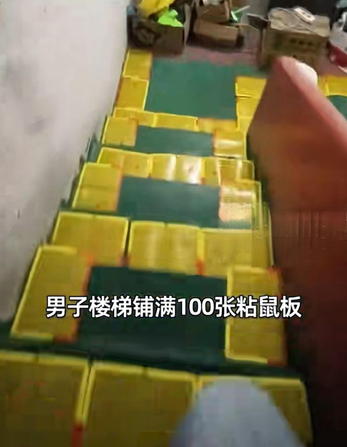 狠人！东莞大哥仓库铺满100张粘鼠板，老鼠挣脱一只也要死磕到底！

见过抓老鼠的