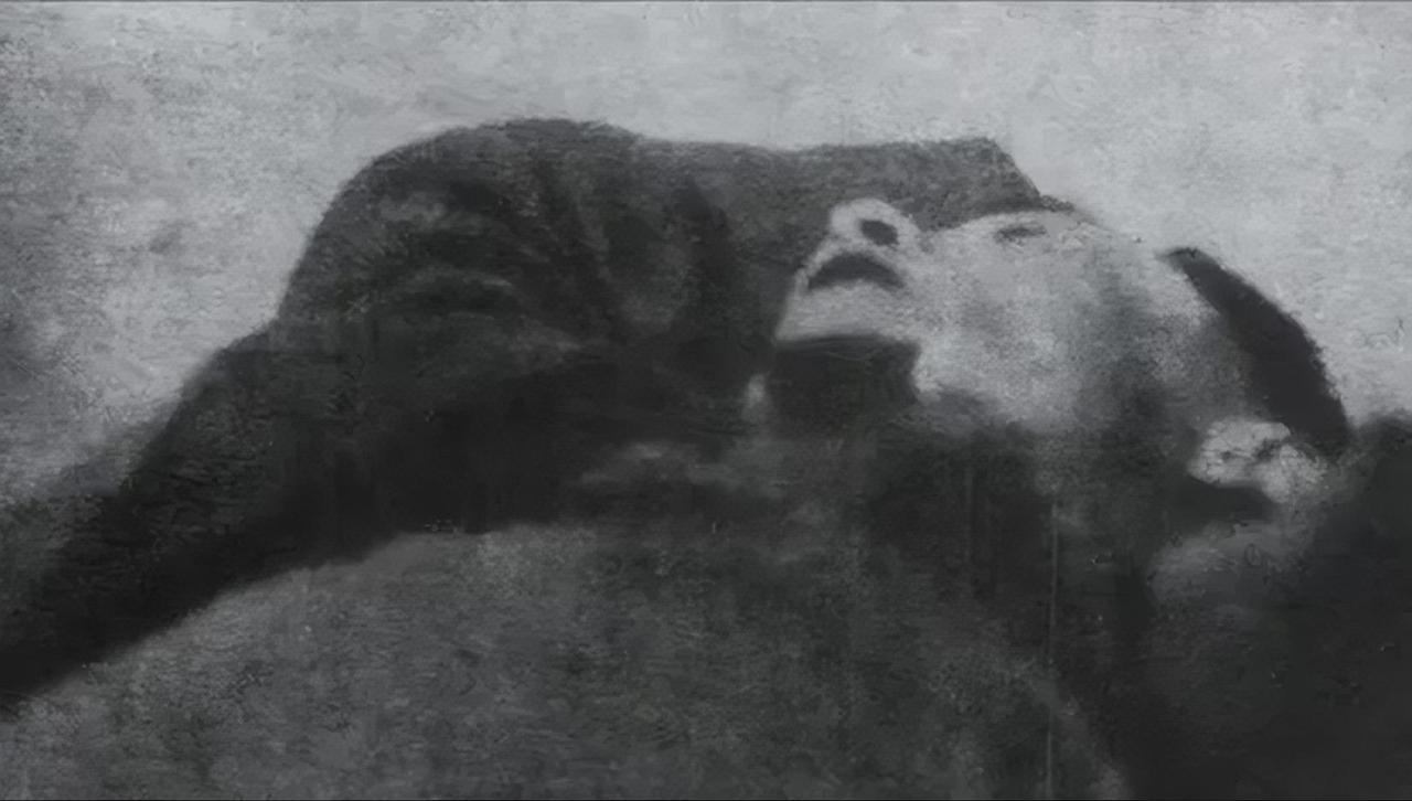 1931年，庐山。陈成对准蒋介石连开两枪，两发子弹均擦耳而过，蒋介石受惊滚落滑竿