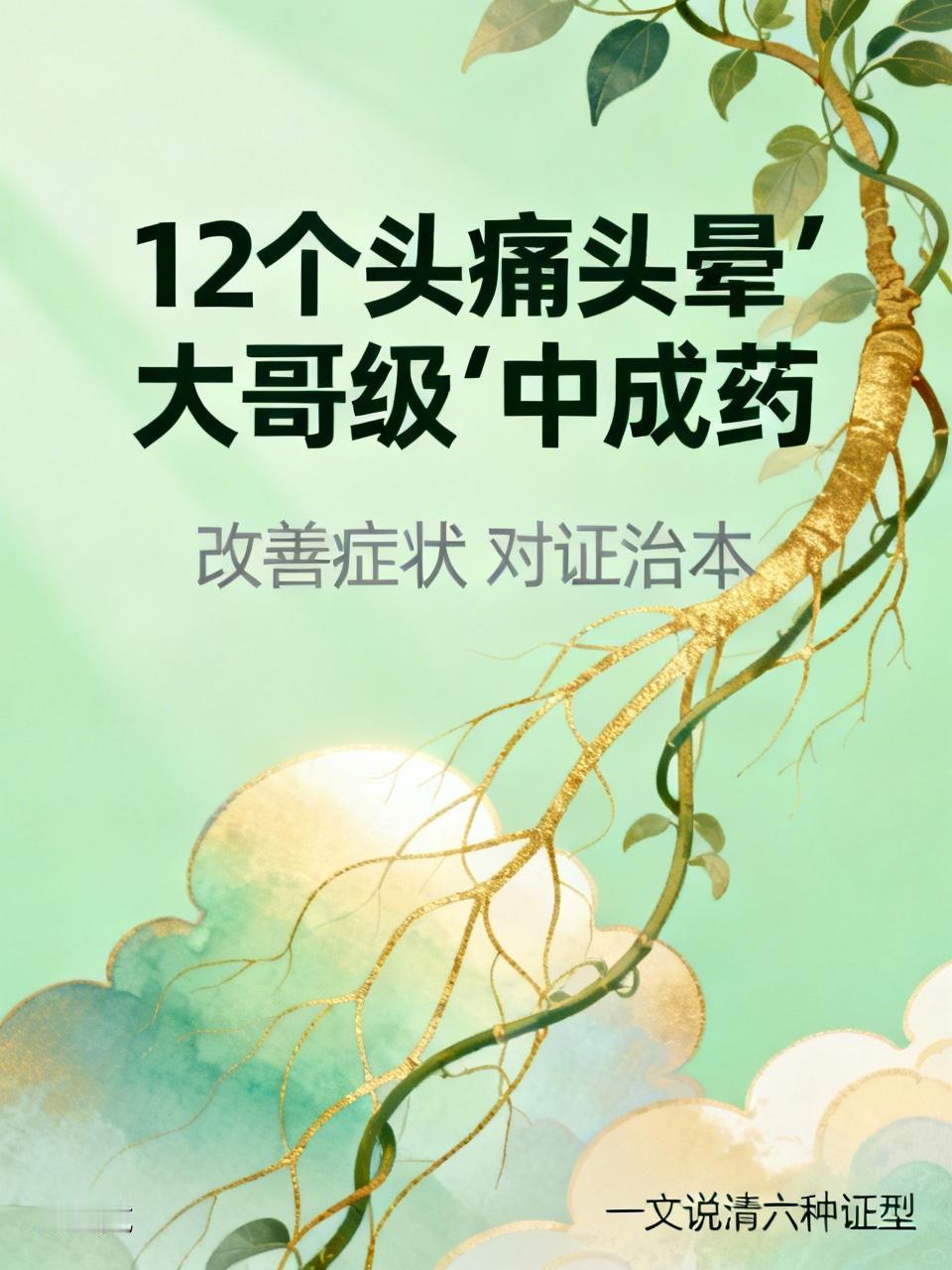 12个头痛头晕“大哥级”中成药，改善症状，对证治本，一文说清

头痛头晕这件事，