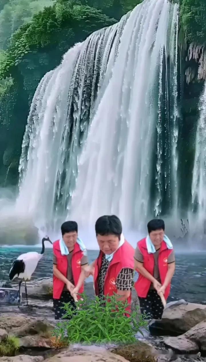 本是农村一小丫，
头戴草帽想婆家。
向往繁华高富帅，
终究幻想镜中花。