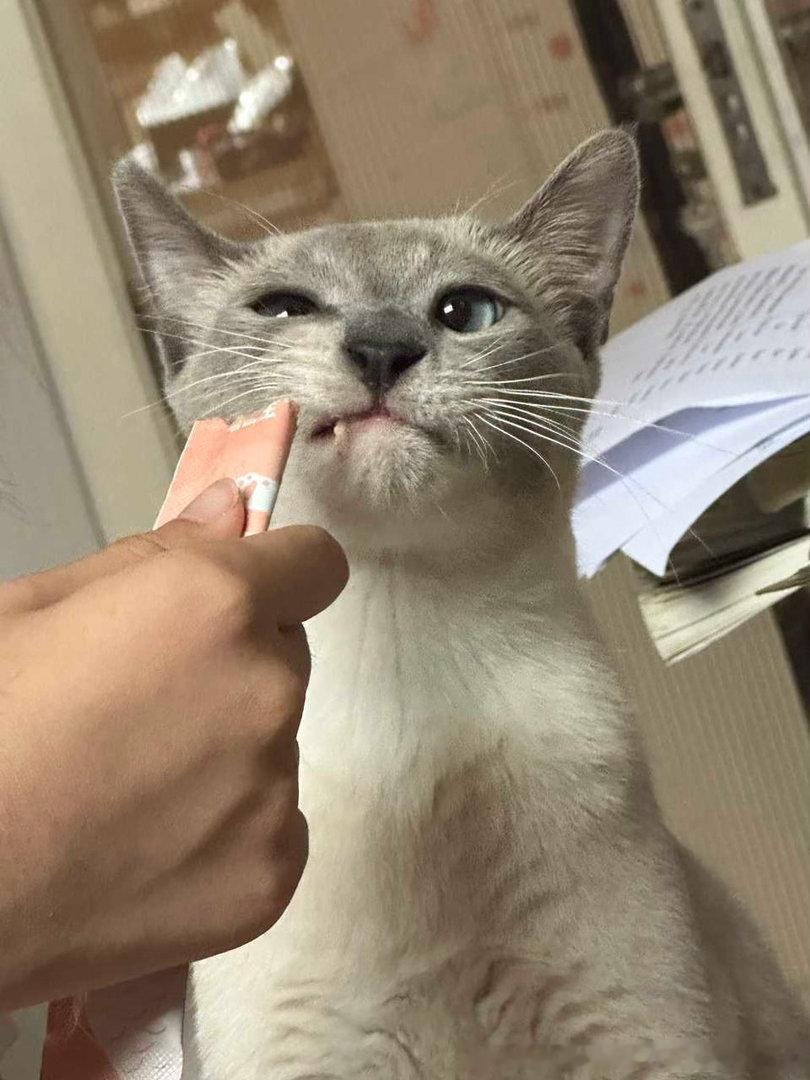 早安逼罗
