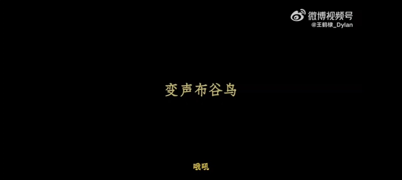 咋这么萌点开收听小猪哼唧 