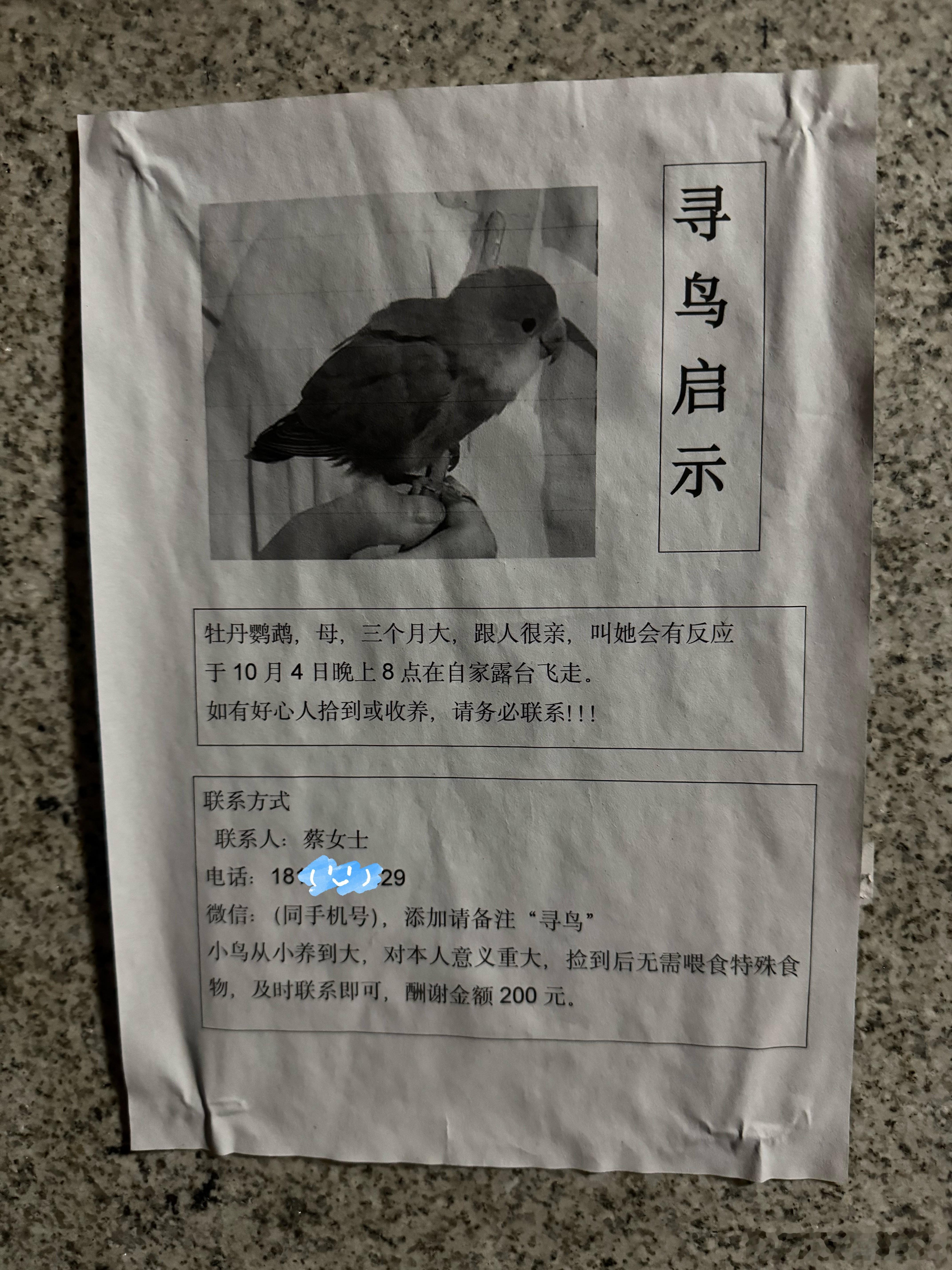见过寻狗启示，寻猫启示的，你们见过寻鸟启示嘛[疑问]刚在小区里散步，看到个寻鸟启