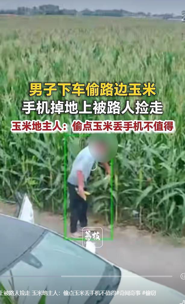（潇湘晨报 2026‑09‑02 报道） 贪小便宜反倒吃了大亏，河北邯郸乡间近日