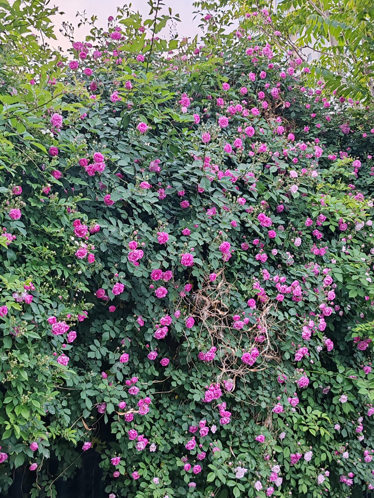 家庭条件确实是孩子的底气。家贫能砥砺志向，家富却可能戕害自身。贫家子弟往往早早当