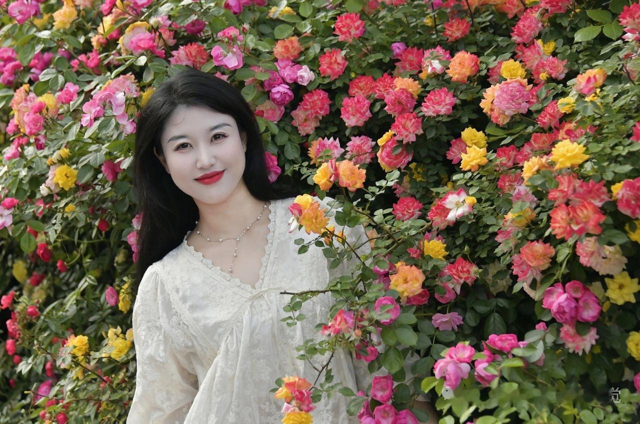 五月的花