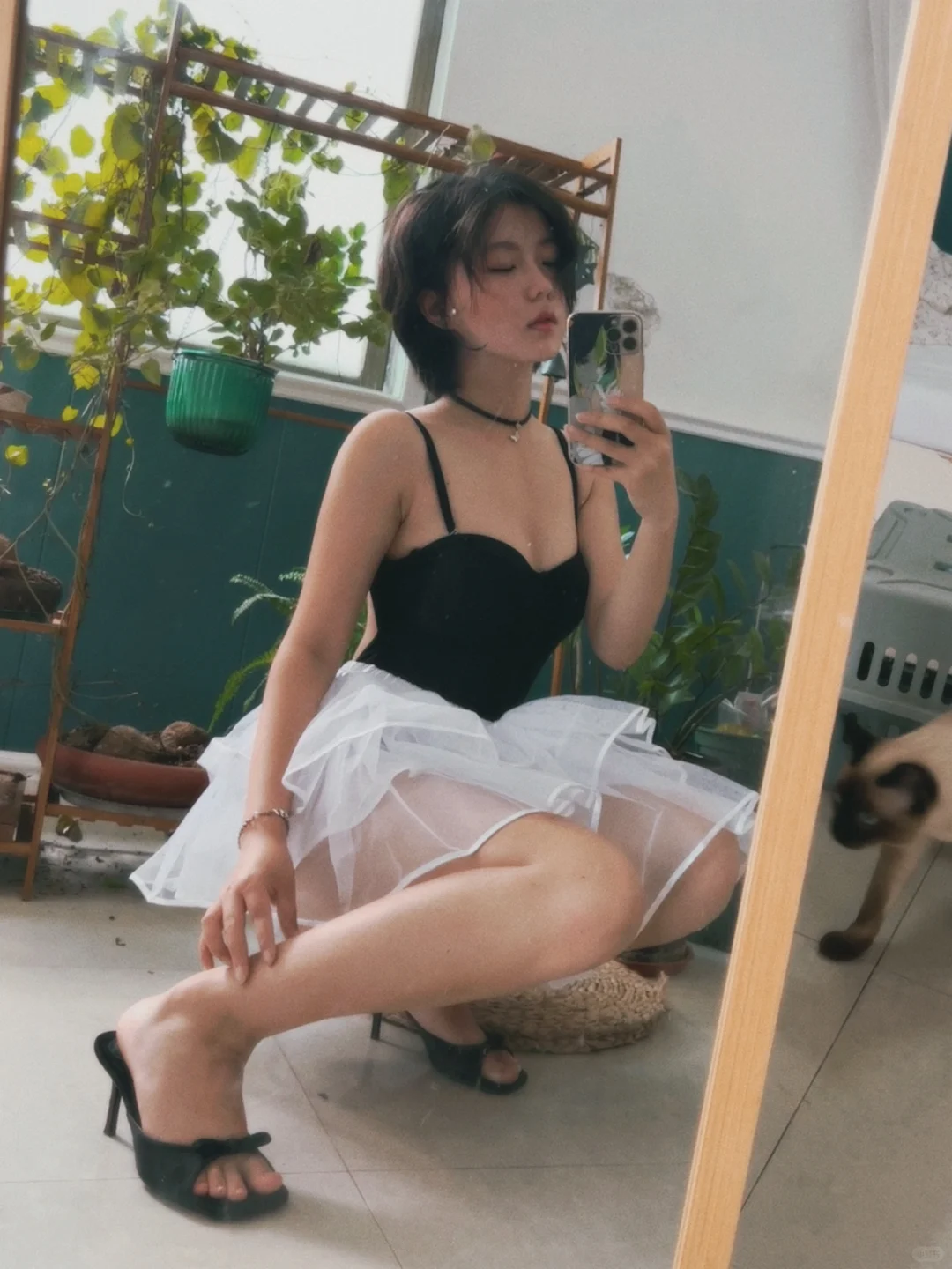 鲨鱼z