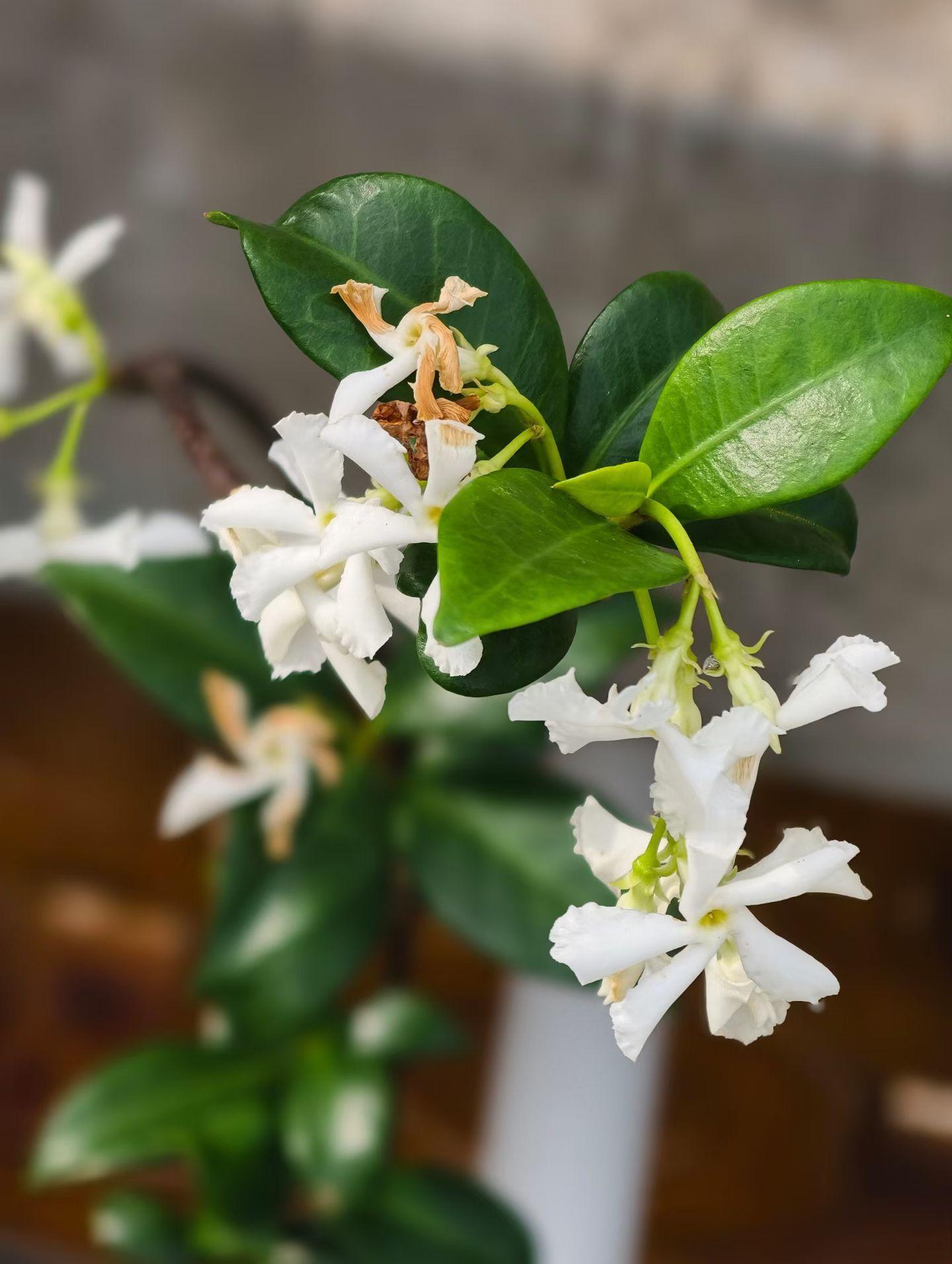 心有尺，行有度，不贪满，不过界，进有欢喜，退有从容。早安！ 