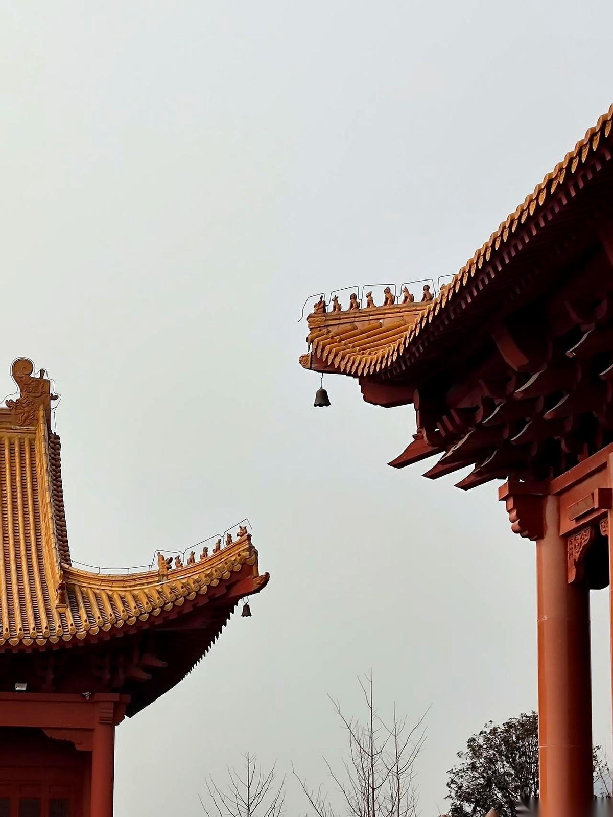 “哥，我给你发两百块红包，你给我找个嫂子。”
今天在饭桌上，我弟看着我，一脸认真