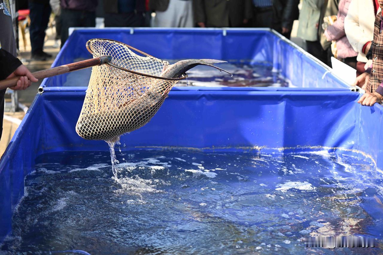 碧波荡漾的峡山湖畔，一场融合生态之韵与渔趣之乐的狂欢盛事正式启幕！[赞]

11