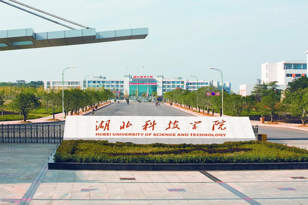 咸宁市本地高校资源不算多，公认最好的本科是湖北科技学院。湖北科技学院属于省属二本