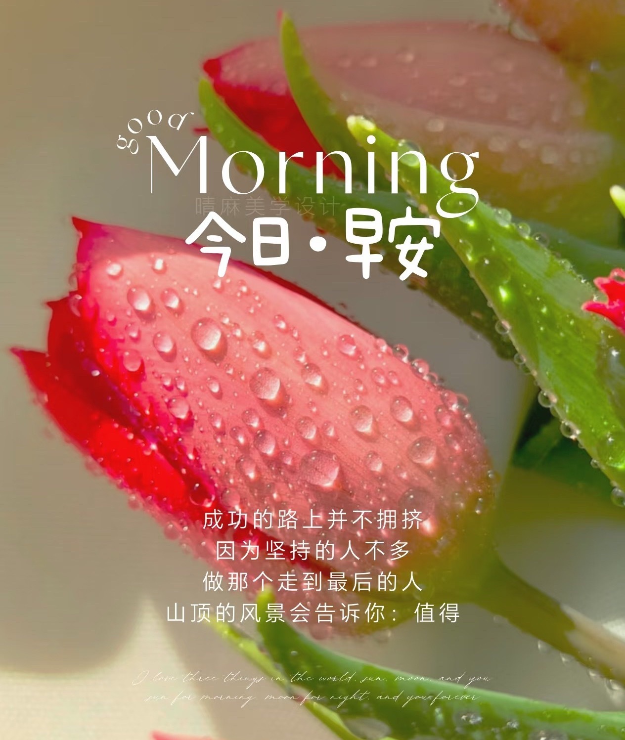早上好！做浪漫的生活家，手捧鲜花，心奏乐歌，顺着风、踩着光，为今天的故事，捎去惊