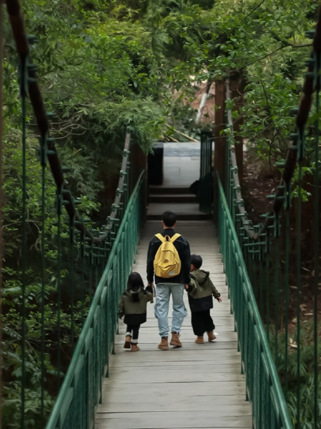 成都遛娃✅ ｜探索隐藏在城市中的徒步森林~🌲
