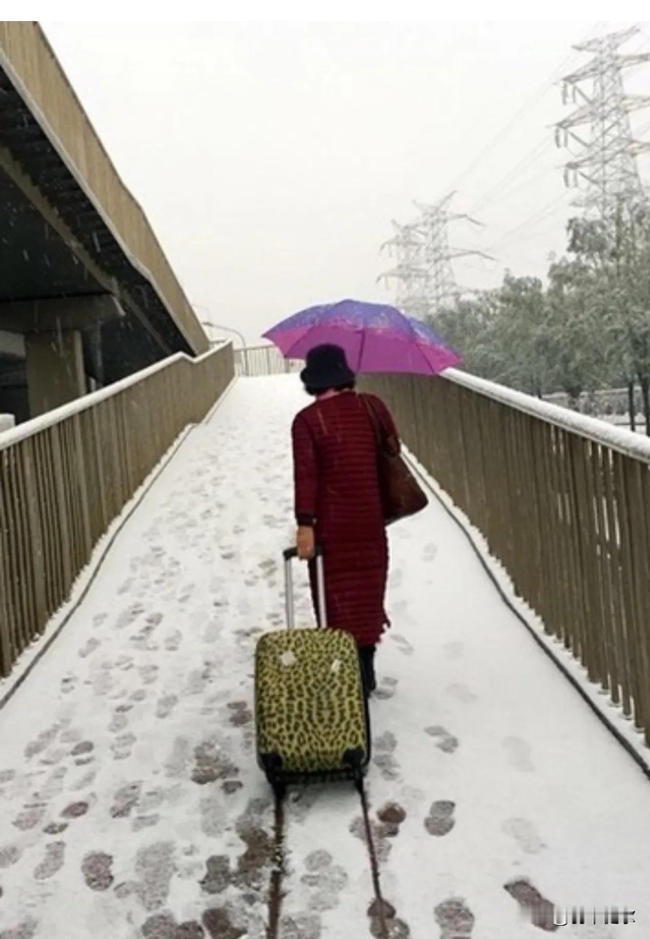 如果说昨天是一道模糊了的风景线的话，那么今天就是一曲清晰的、精新的正在谱写的旋律