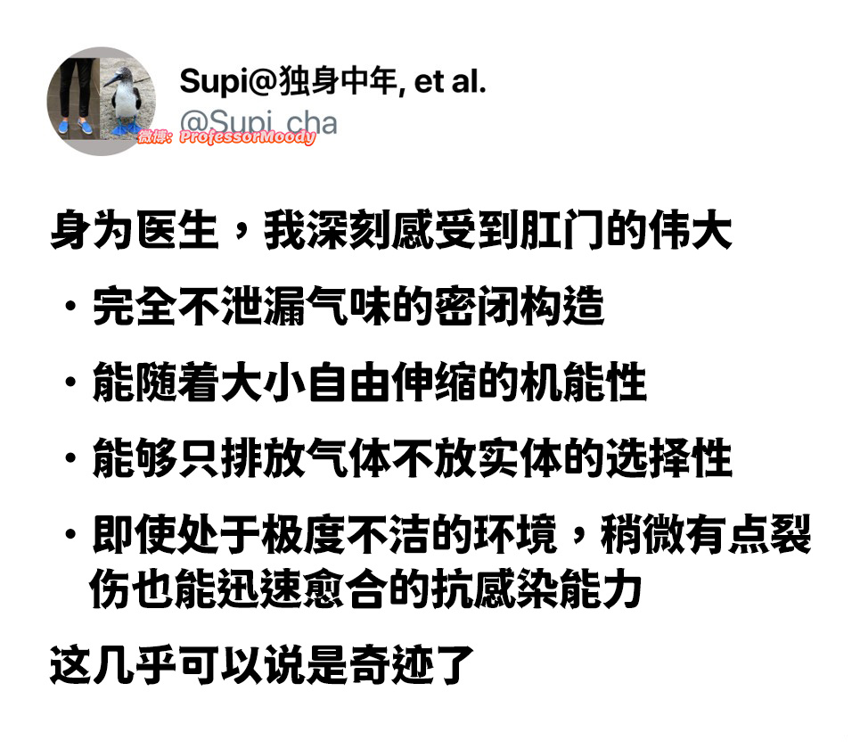 咏菊meme ​​​
