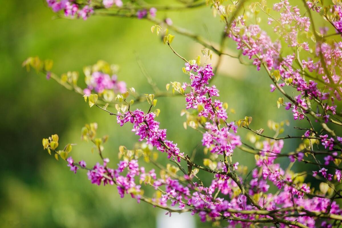 人就是天主的一颗棋，生命由它来操作。世上本无移山之术，唯一能移山的方法就是：山不