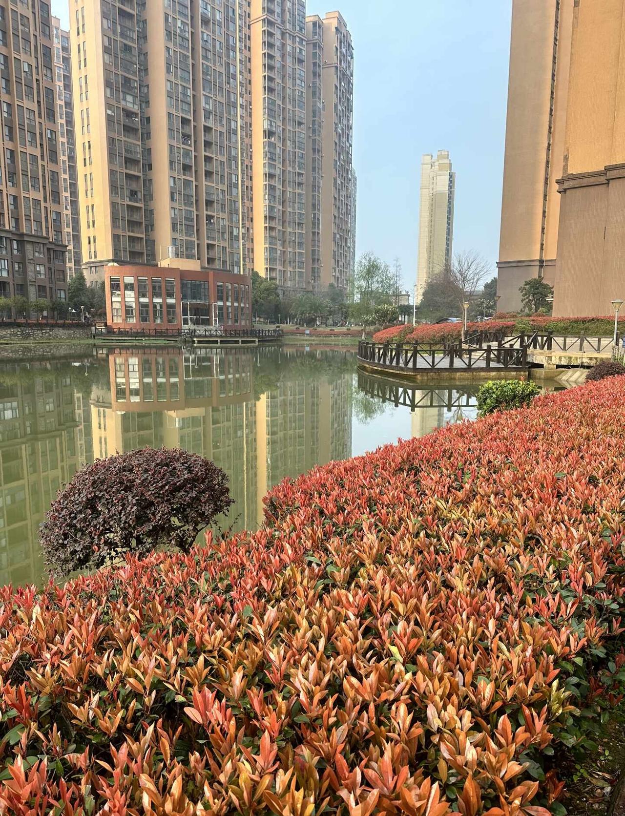 宜昌姑娘在葛店7年亲眼见证这座城的温度
我是一个宜昌姑娘，在葛店一待就是7年。