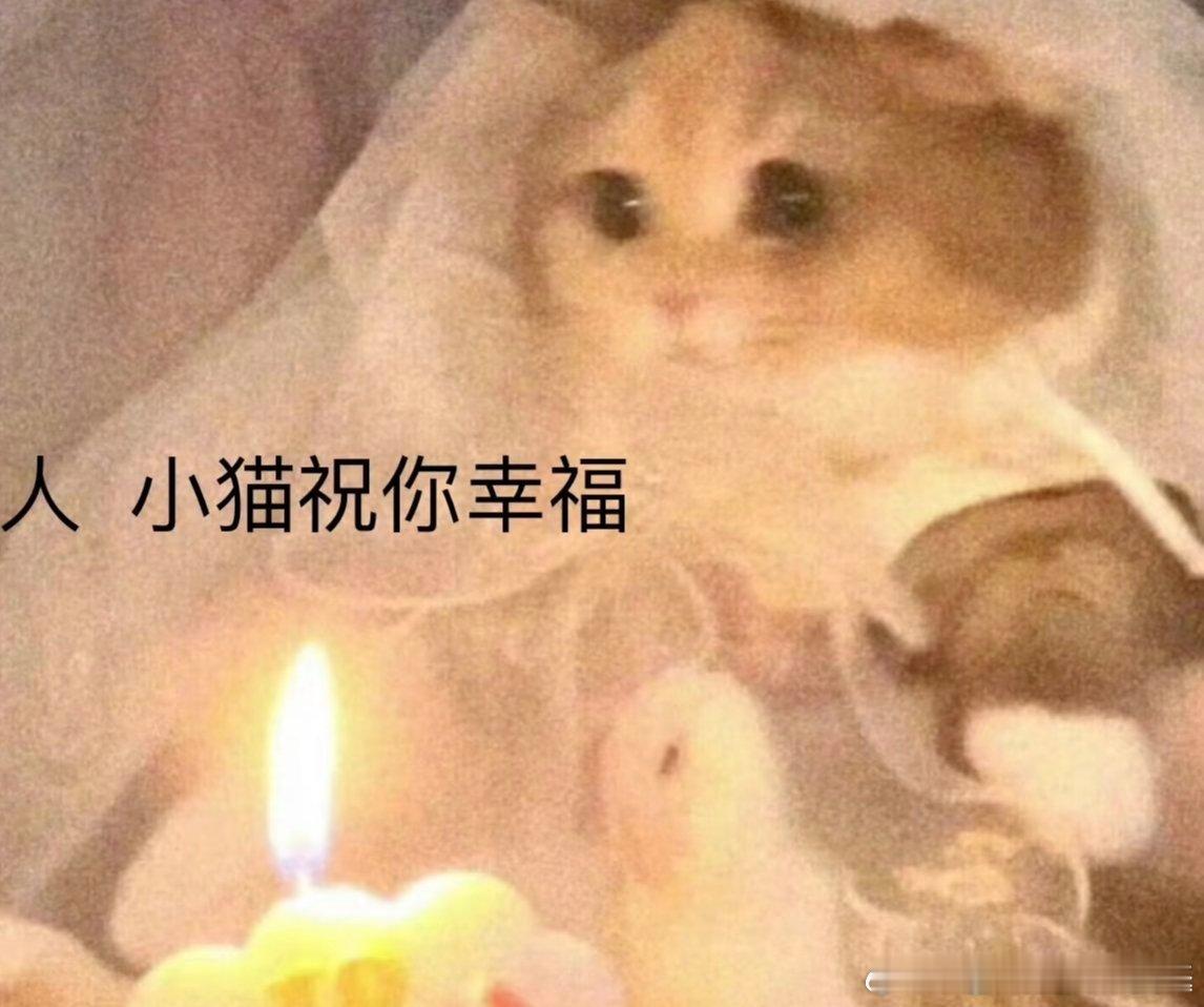 某某驾驶位开车，某某某副驾导航，某某看到某某某可能喜欢的痛车会拍拍某某某的手臂提