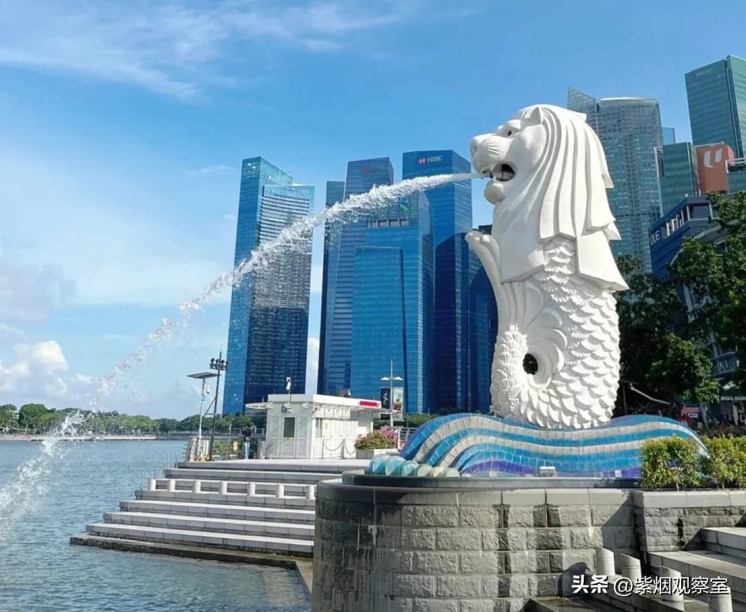 去过新加坡才懂：同文同种只是错觉，隔阂与优越感真的藏不住
 
很多人去新加坡之前