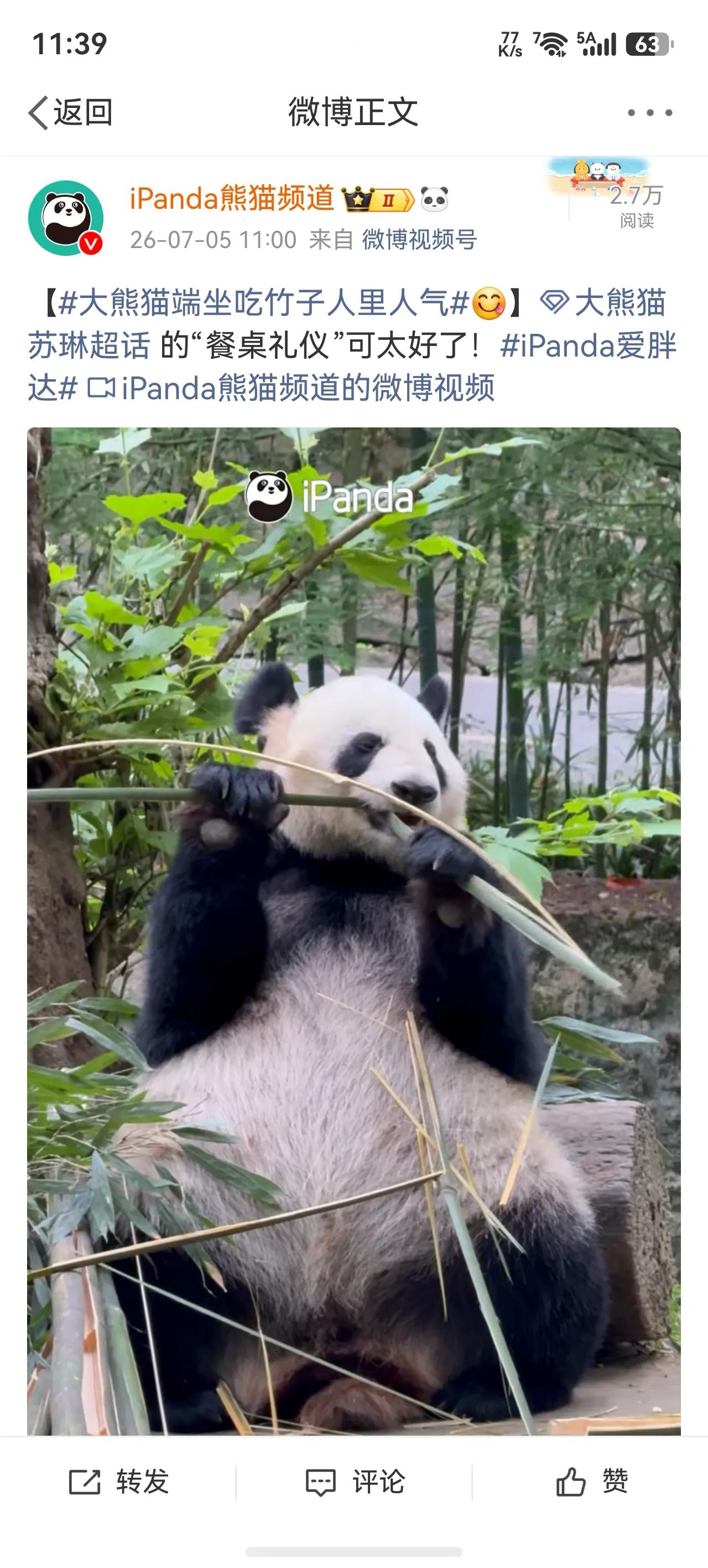 有点羡慕大熊猫啊，竟然不怕竹子扎，平时用个竹筷子还天天怕被扎[捂脸]