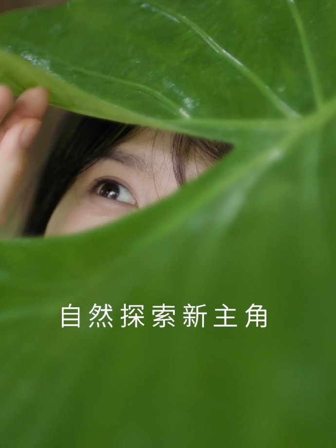 一些现在已经拥有的杂志📚环球银幕6月特别刊芭莎电影电子刊superelle七月