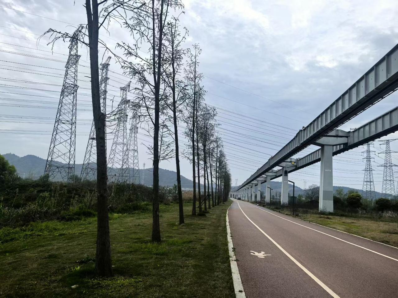 站桩舒筋
    人的筋有多长，寿命就有多高，我们人体的筋遍布全身，尤以手臂，背