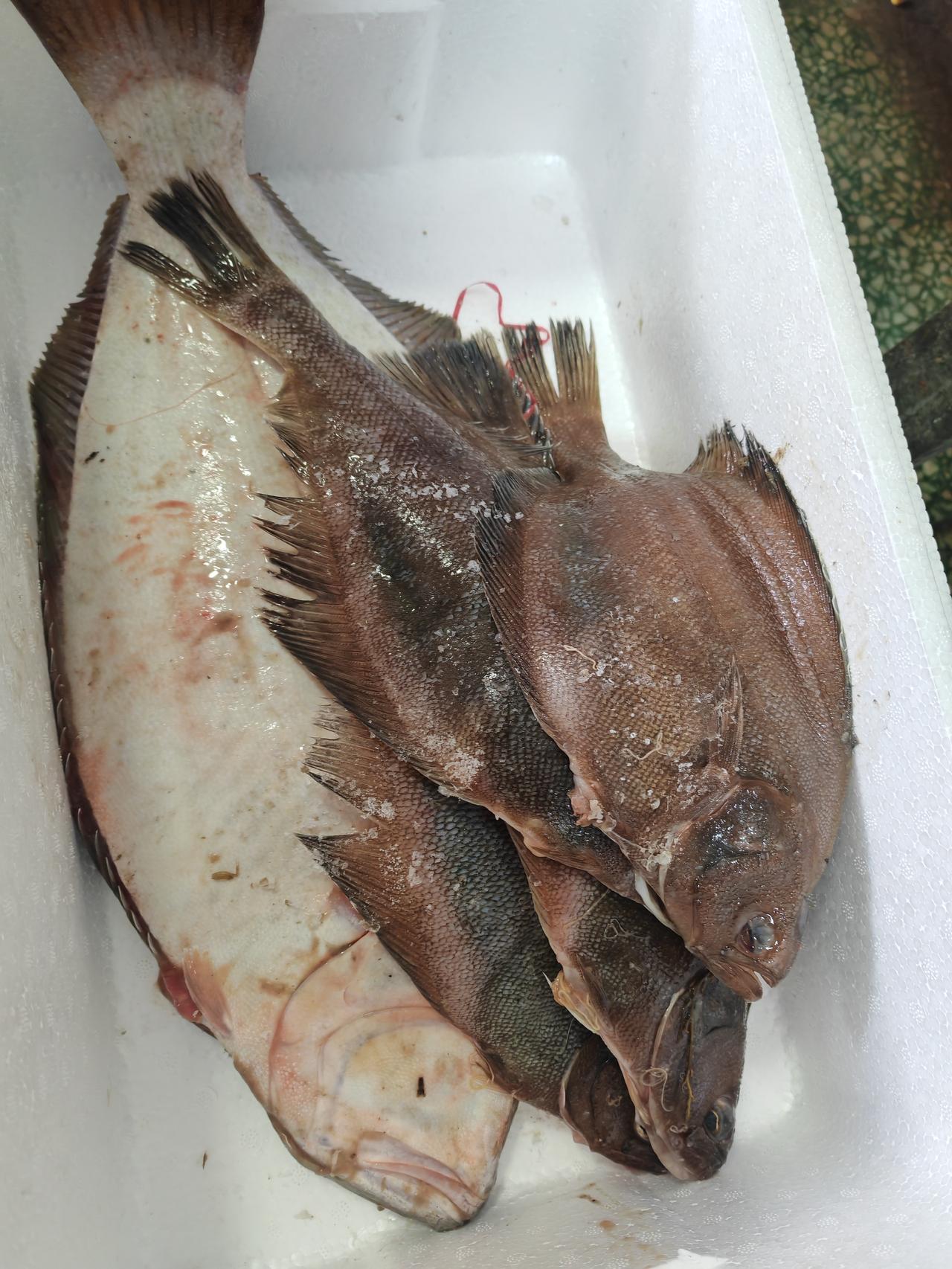 一顿营养丰富的家常菜，有着许许多多的好处：

（1）卫生、健康。自己亲手烹饪的菜