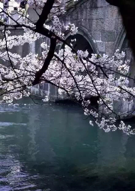 正是江南好風景，落花時節又逢君！ ​ ​​​