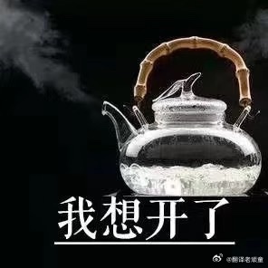 众生无对错，只是视角不同🌿做口译越久，情绪越稳定，心性也越通透。从前做人，爱分